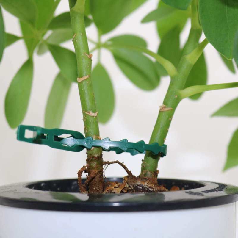 Ensemble de tournesol 100 pièces