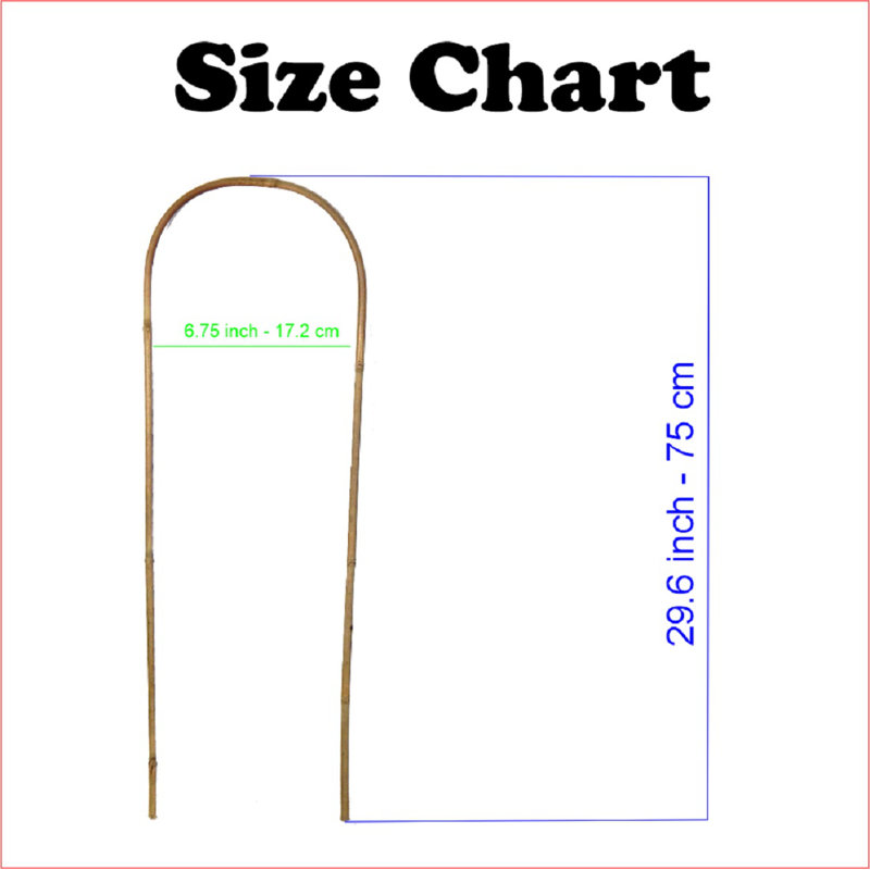 30 po Ensemble de 16 piquets en bambou U Trellis Hoop