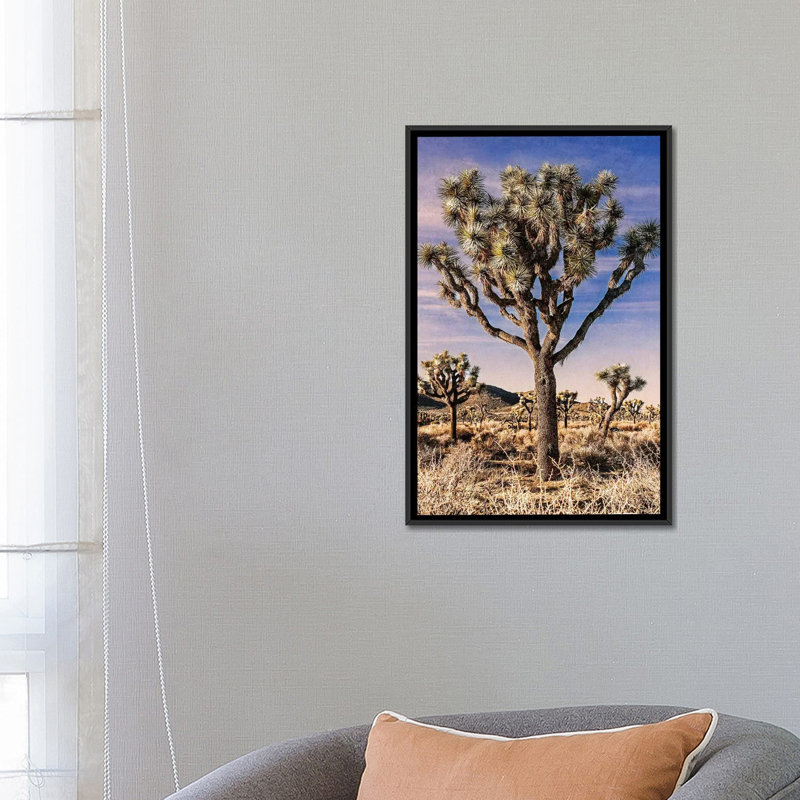 «Joshua Tree Views IV», impression sur toile, H 26 po x l 18 po x P 1,5 po, Toile avec cadre noir, Pas de tapis