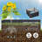 2 Piece Metal Planter Box Raised Garden Bed