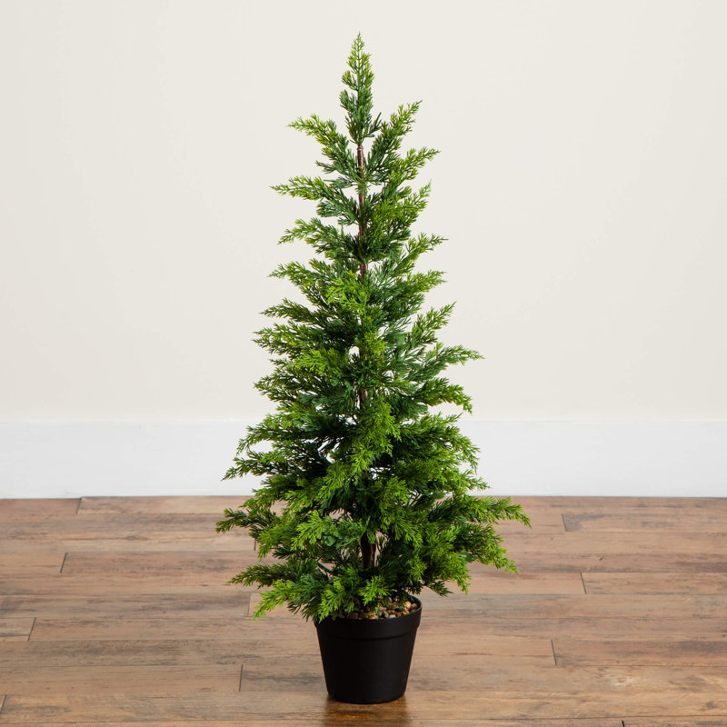 Arbre de Noël 3 pi Cypress