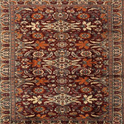 Oriental Indoor Rug