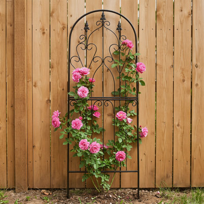 70.9" H X 25.6" W Iron Garden Trellis for Climbing Plants Rose Support Structure
