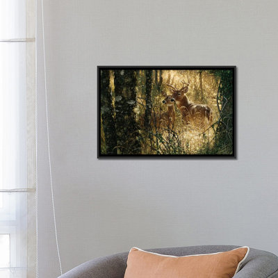 A Golden Moment - Whitetail Deer, Horizontal by Collin Bogle - Gallery-Wrapped Canvas Giclée Print on