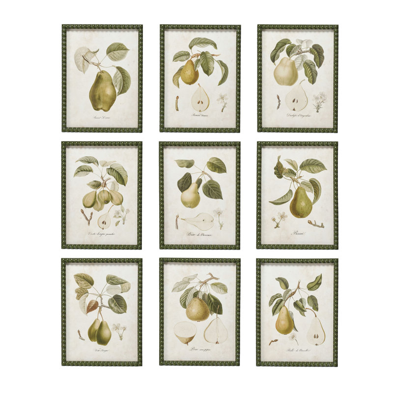Collection d'imprimés poire Orchard