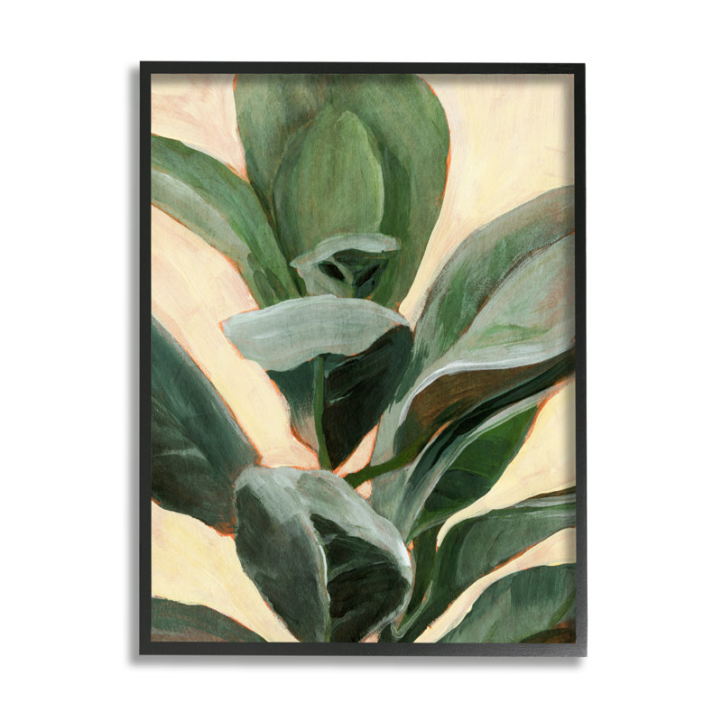 Étude de plantes en pot courbes vertes, Giclée encadrée noir minuit, H 14 po x l 11 po
