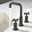 2-handle Bathroom Faucet-87851250