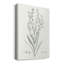 «Botanical Study In Sage I», reproduction sur toile tendue-1406534654