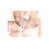 Image Brush Gel