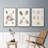 " Pastel Knorr Shells I " 3 - Pieces-1841226829-1841226818