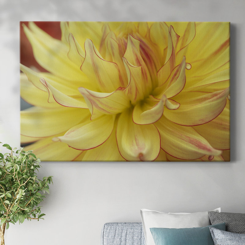 Toile tendue Blooms I-Gallery, H 12 po x l 18 po
