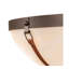 3 - Light Semi Flush Mount