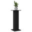 Haig Plant Stand 1 Tier-2027179081-2027179079