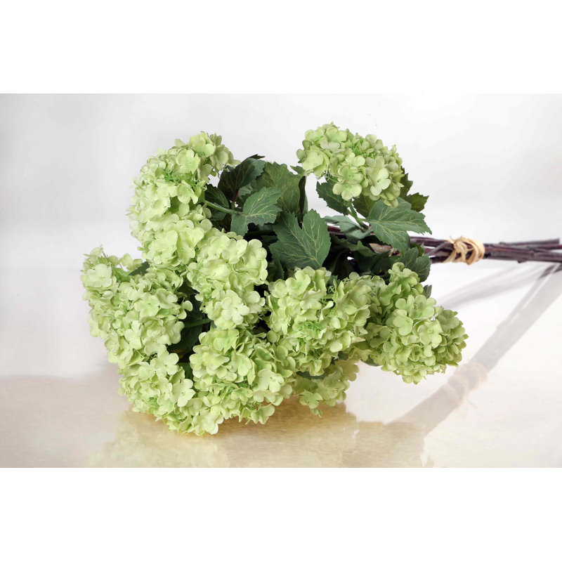 Viburnum Spray, Pale Green