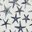 Blue Starfish; 0519-61