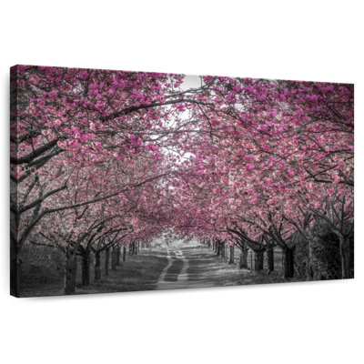 Harnek Lovely Cherry Blossom Alley In Pink