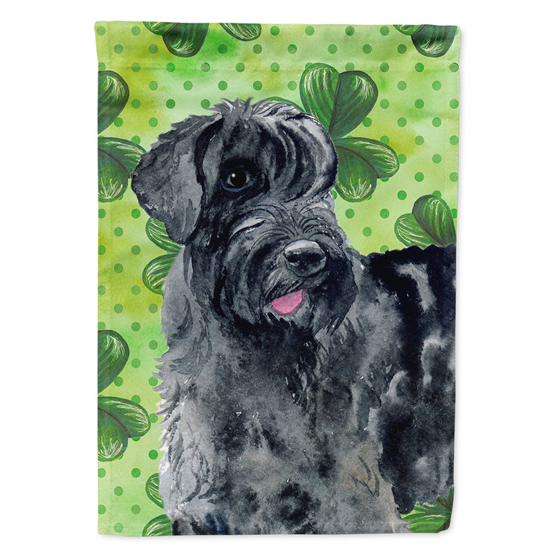 40 x 28 po en polyester à 2 côtés de la st patrick drapeau maison, Schnauzer géant