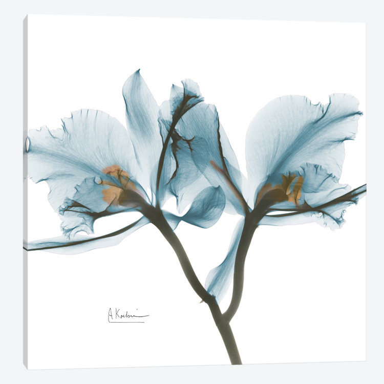 «Orchid», reproduction d'impression sur toile, H 12 po x l 12 po x P 0,75 po, Toile tendue, Pas de tapis