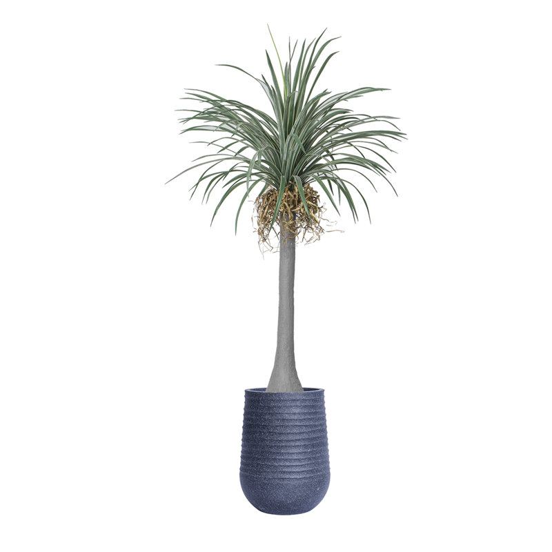 Dragon artificiel 90,08 "en pot, Gris