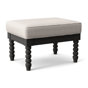 Antique Black Finish