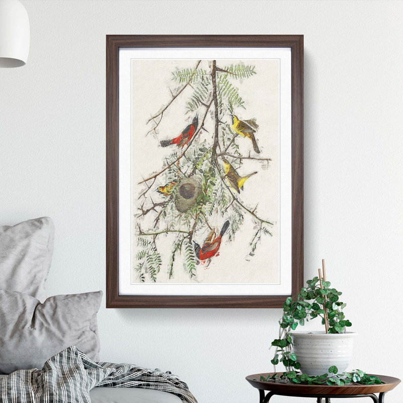 Orchard Oriole by John Audubon - Picture Frame Painting Print, 48cm H x 36cm W x 2cm D, Walnut Framed