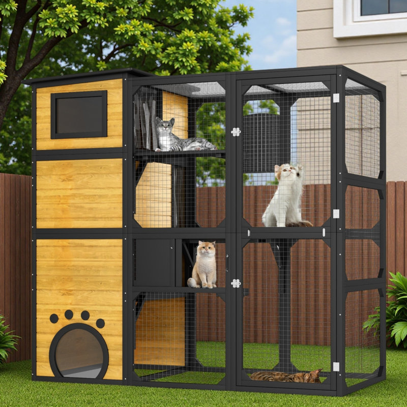 Maison d'extérieur pour chat avec plateformes et salles de repos
