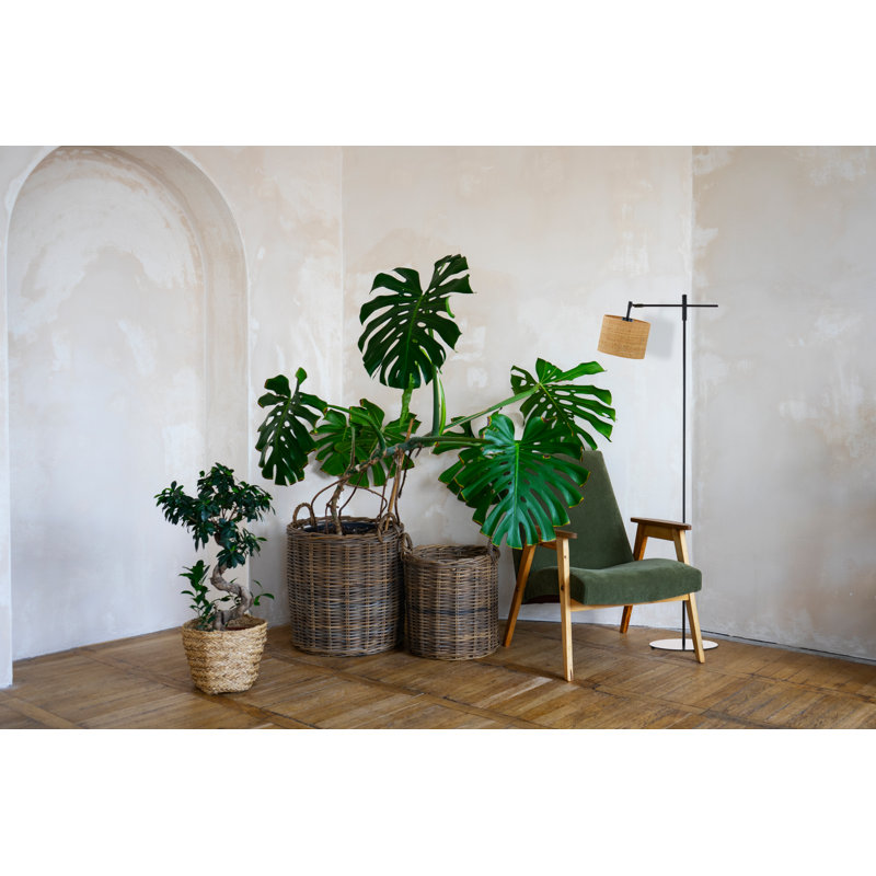 Akoon Task Floor Lamp, Black