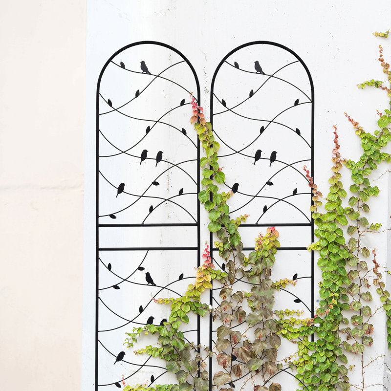 Paquet de 4 treillis de jardin en métal antirouille pour plantes grimpantes support de fleurs extérieur noir