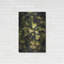 «Hostas Leaves» par Incado