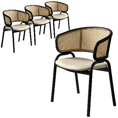 Daishun Dining Chair With Curved Wicker Back Armchair And Stainless Steel Frame And Legs Fegan Collection