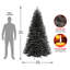 Épinette noire North Valley The Holiday Aisle®-1057060008
