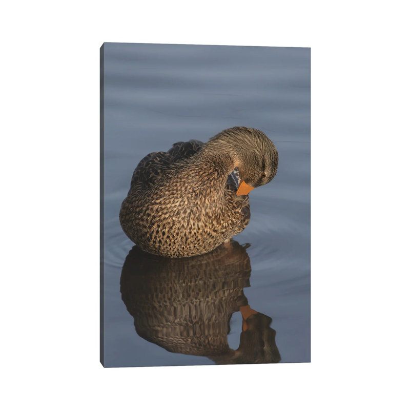 Art Of Preening by Louis Ruth - Wrapped Canvas Print, 101.6 cm H x 66.04 cm W x 1.91 cm D