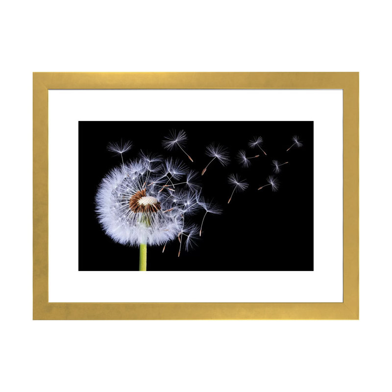 «Dandelion Blowing I» par Bess Hamiti - reproduction de photo, H 24 po x l 32 po x P 1 po, Papier encadré doré