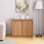 Marchella 2-Door Cabinet With Adjustable Shelf