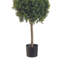 Elspeth 4.5' Faux Boxwood Topiary