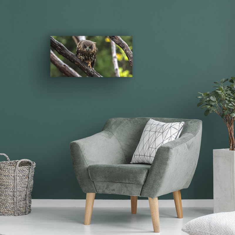 Art sur toile «bolurien», H 10 po x l 19 po
