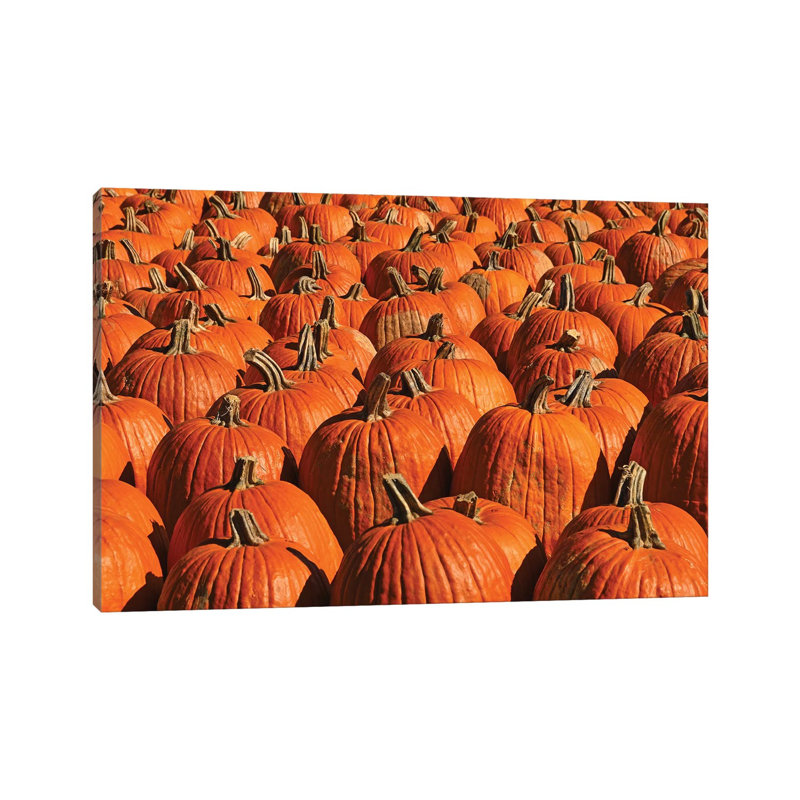 Pumpkins, Pumpkins, Pumpkins by Brian Wolf - Wrapped Canvas Print, 66.04 cm H x 45.72 cm W