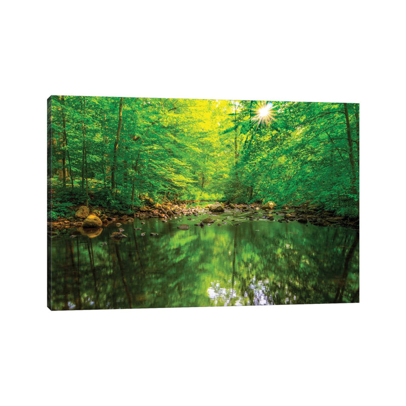 Morning Pond by David Gardiner - Wrapped Canvas Gallery-Wrapped Canvas Giclée, 18"H x 26"W