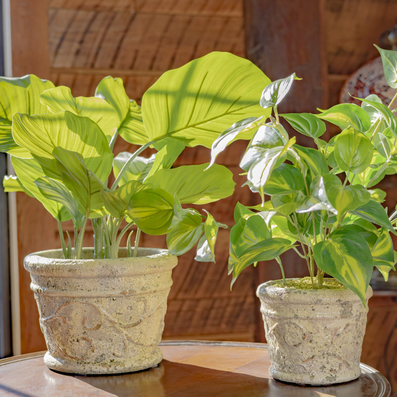 Harrami Handmade Ceramic Pot Planter, Antique White