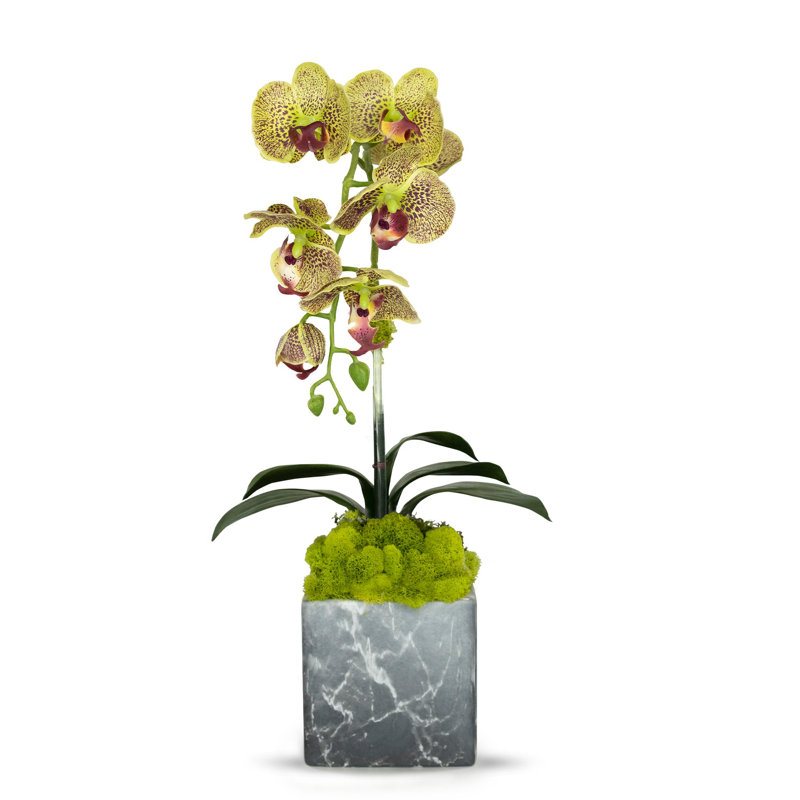 Artificial Orchid in Planter