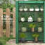 Breonca 4 Ft W x 2 Ft D Mini Greenhouse