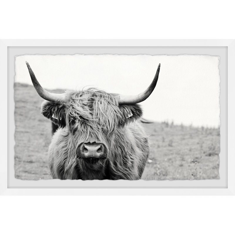 Mountain Cow - Single Picture Frame Print, 61cm H x 91cm W x 3.81cm D