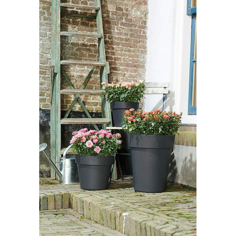 Pot Planter, 25cm H x 30cm W x 30cm D, Black