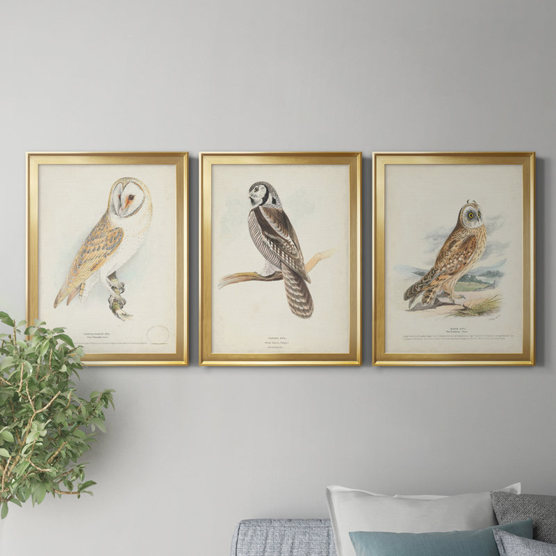 Reproduction encadrée de qualité supérieure de grange - prêt à accrocher, H 24,5 po x l 55,5 po x P 1 po, Cadre doré