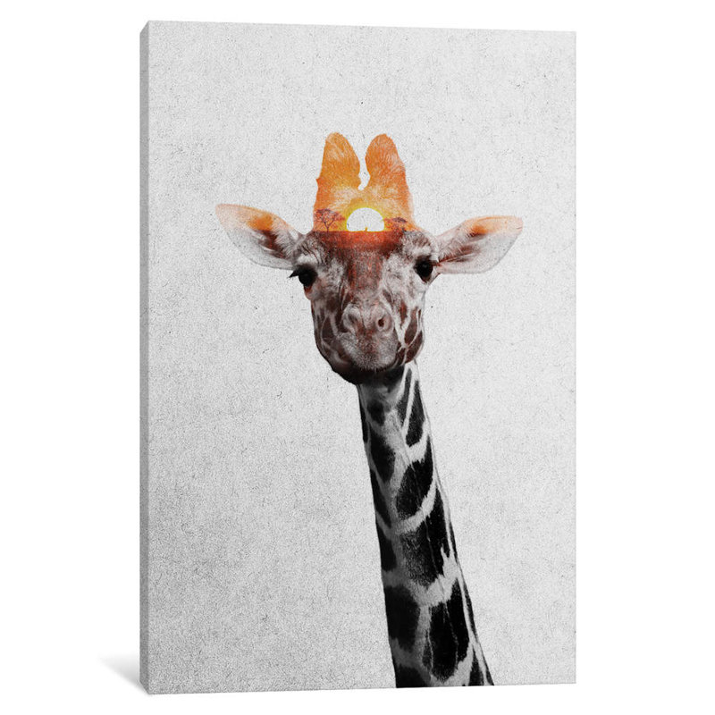 Giraffe II by Andreas Lie - Wrapped Canvas Print, 66.04 cm H x 45.72 cm W x 3.175 cm D