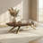 51" Oval Coffee Table, Modern Walnut Wood Cocktail Table with Gold Metal Legs