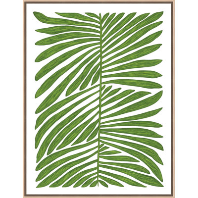 Botanicus Quindecim 1 Framed Print Canvas