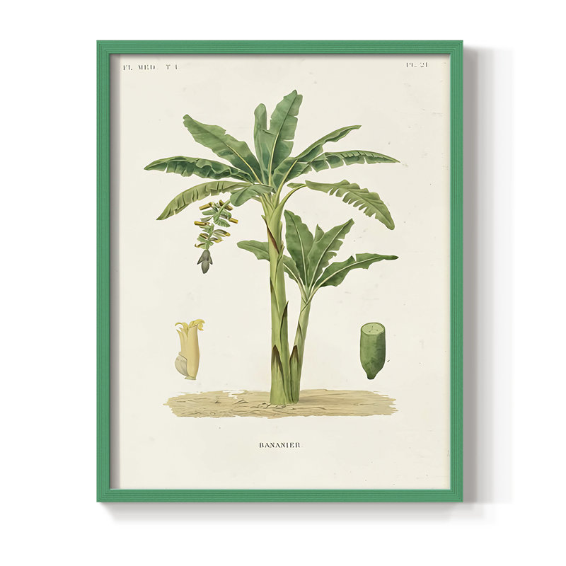 Arbre antique avec fruit III, reproduction encadrée - bois massif, H 15 po x l 12 po, Vert