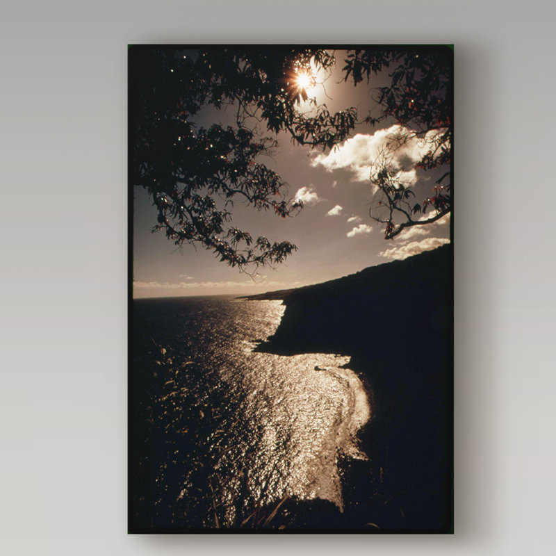 « maui », reproduction de photo sur toile tendue, H 19 po x l 12 po x P 2 po