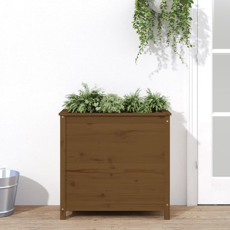 Blaguna Wood Pot Planter, Honey Brown, 78cm H x 82.5cm W x 40cm D, Pine